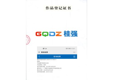 作品登記證書(shū) (作品展示)